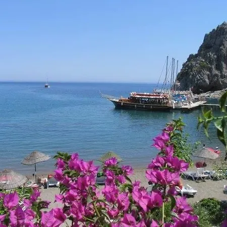Begonvilla Mesudiye (Datca)
