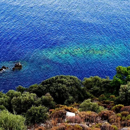 Begonvilla Mesudiye (Datca)