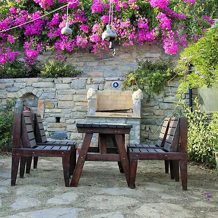Begonvilla * Mesudiye (Datca)